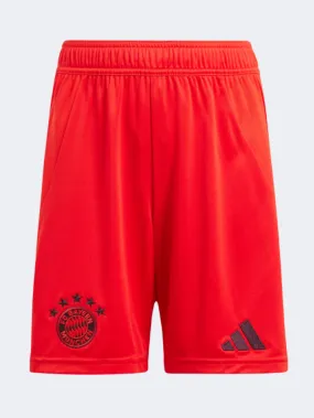 Adidas Fc Bayern Home Boys Football Short Red