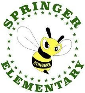 Springer Elementary After School Skateboard Class Fall 2024